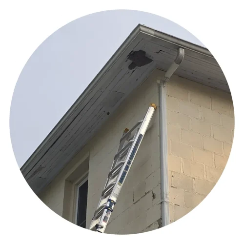 service image