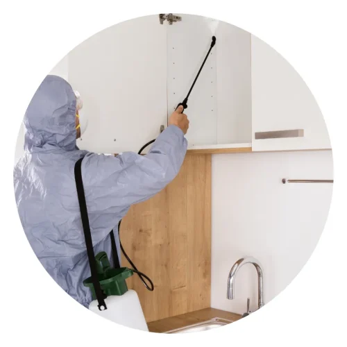 service image