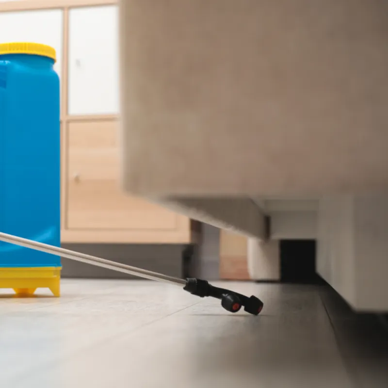 Pest Maintenance & Preventative Pest Control